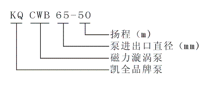 上海凱全泵業(yè)